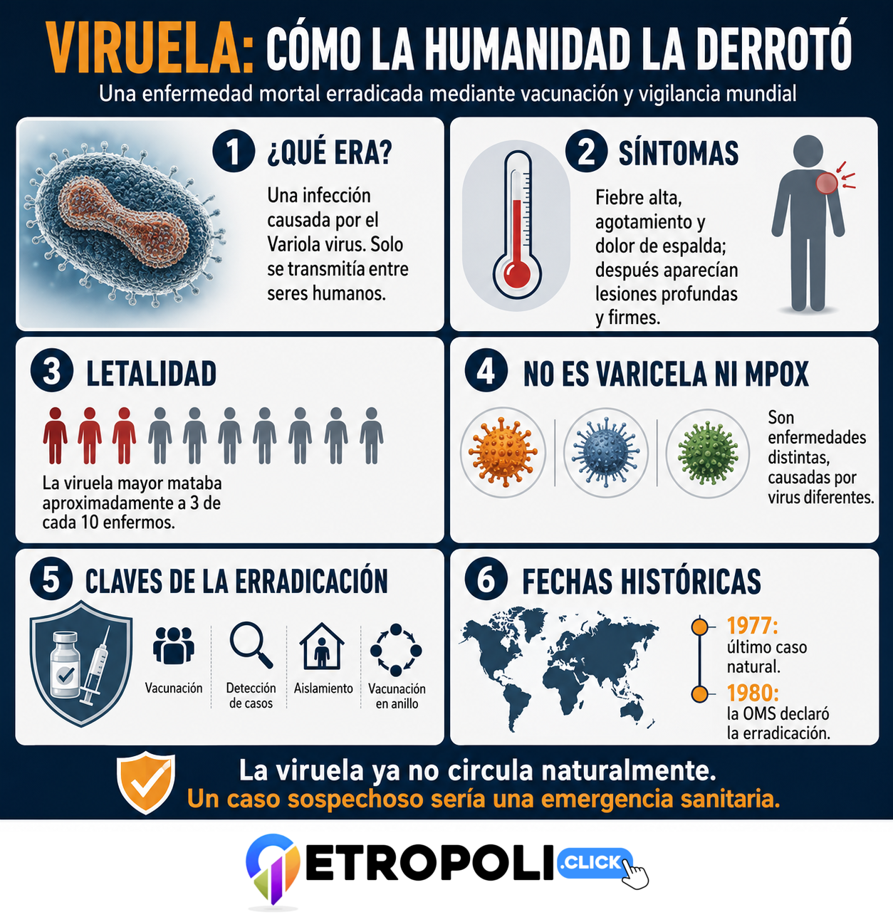 Infografía de metropoli.click sobre qué era la viruela, sus síntomas, letalidad y erradicación