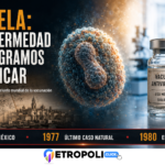 Viruela: qué es, síntomas y cómo fue erradicada 🦠