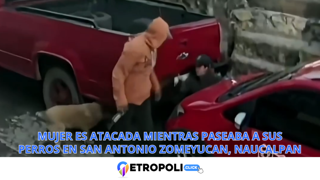 Mujer es atacada mientras paseaba a sus perros en San Antonio Zomeyucan, Naucalpan