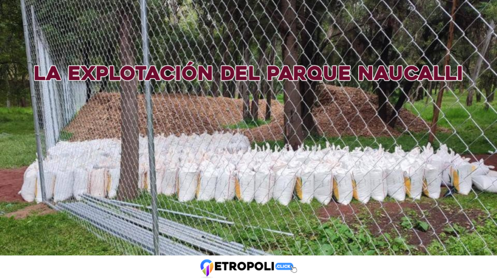 Parque Naucalli: la explotación de sus espacios, los límites ambientales y la facultad del Estado para recuperar su administración