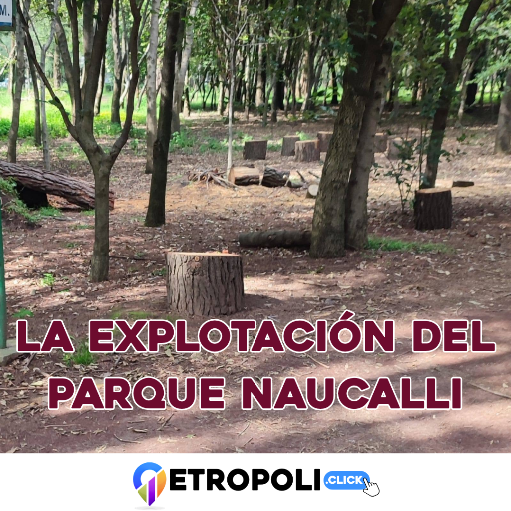Portada Parque Naucalli: la explotación de sus espacios, los límites ambientales y la facultad del Estado para recuperar su administración