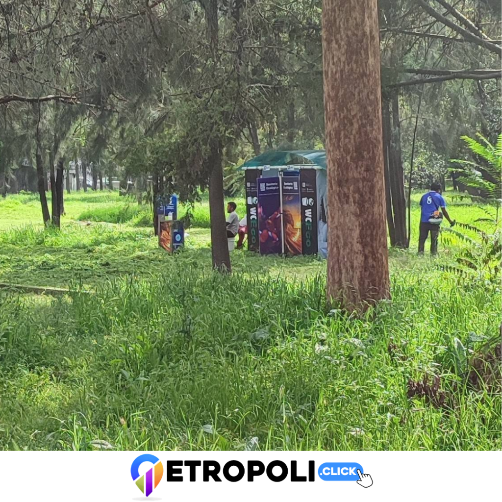 Prueba 4 de la explotación del Parque Naucalli