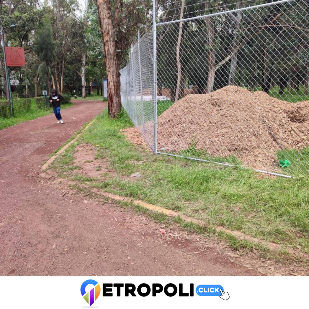 Prueba 2 de la explotación del Parque Naucalli