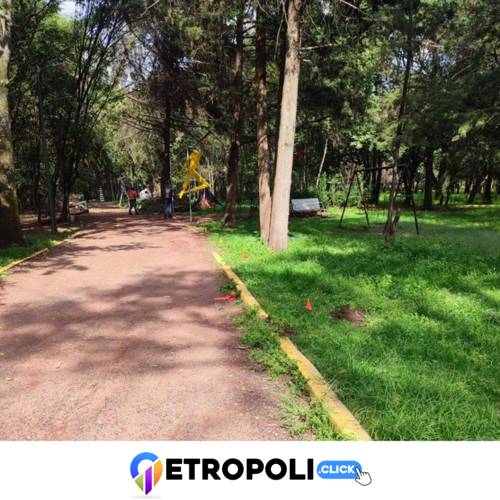 Prueba 6 de la explotación del Parque Naucalli