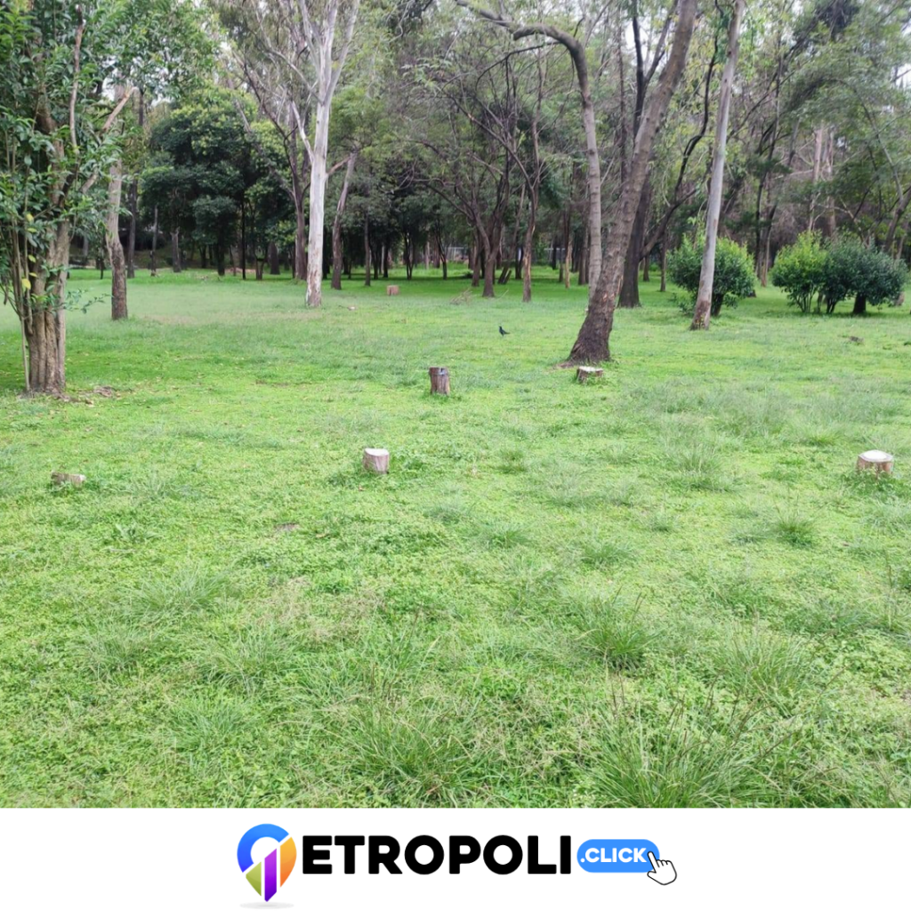 Prueba 5 de la explotación del Parque Naucalli