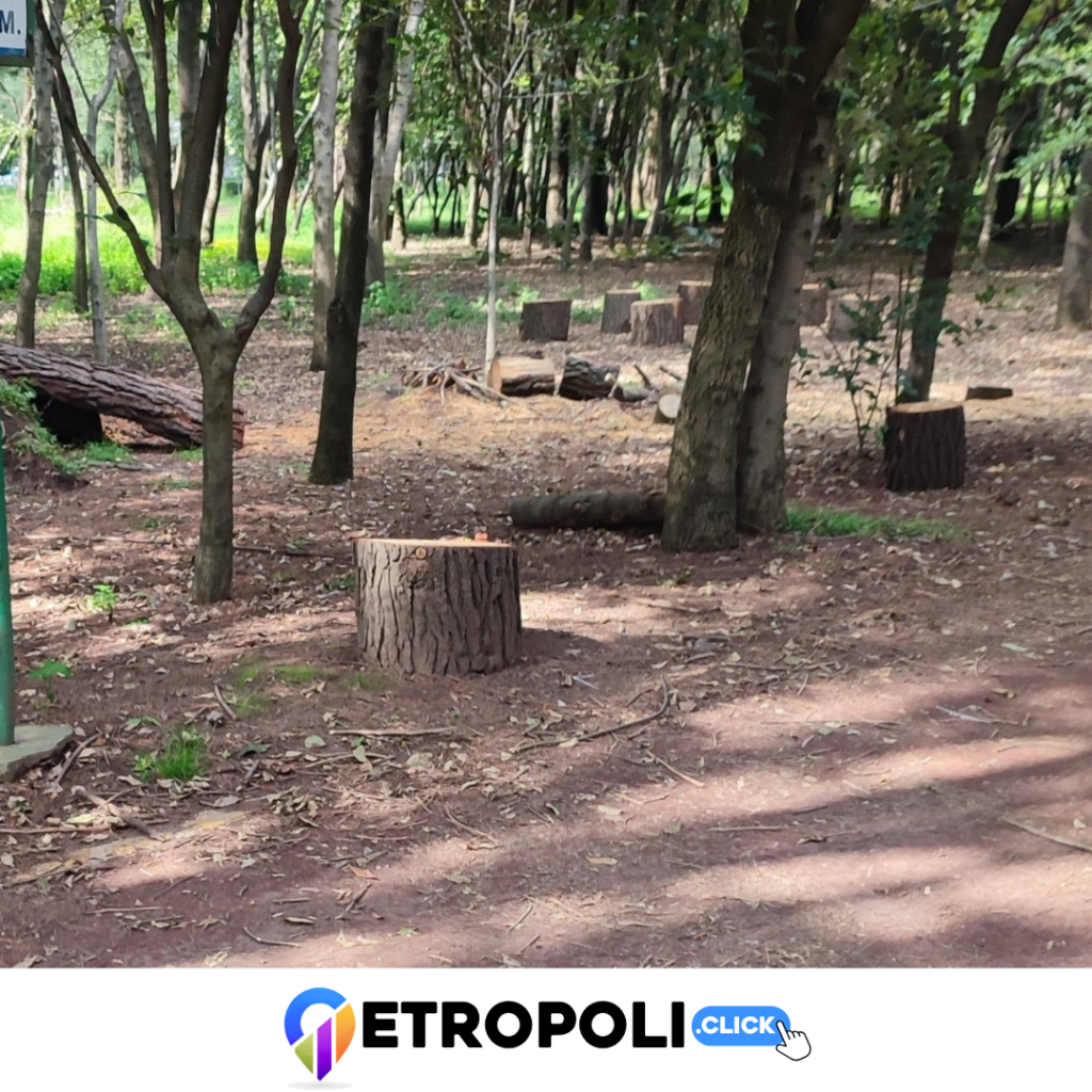 Prueba 3 de la explotación del Parque Naucalli