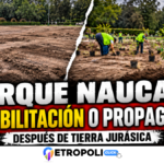 De la devastación a la propaganda ambiental: el Gobierno de Naucalpan presume la rehabilitación de la zona afectada por Tierra Jurásica